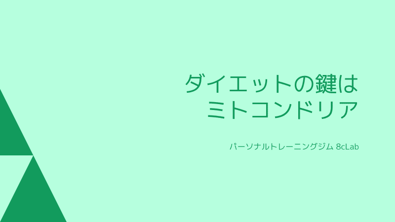 ダイエットの鍵はミトコンドリア