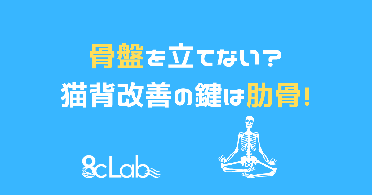 骨盤を立てない?猫背改善の鍵は肋骨!と書かれた8cLabのアイキャッチ画像